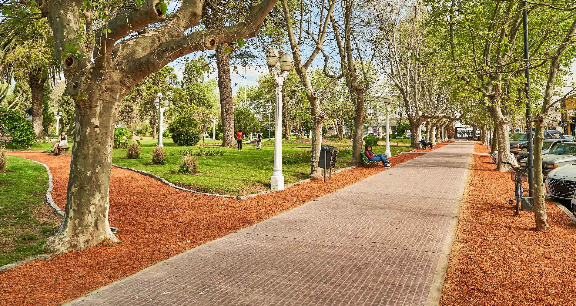 PLAZA COLON